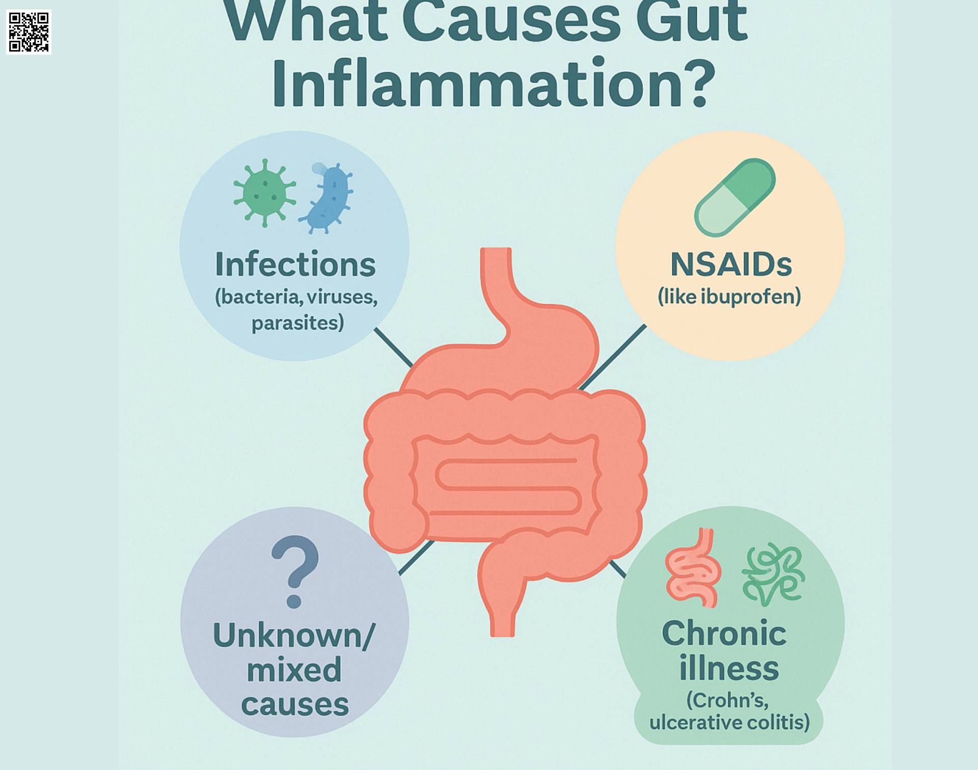 Causes of Gut Inflammation