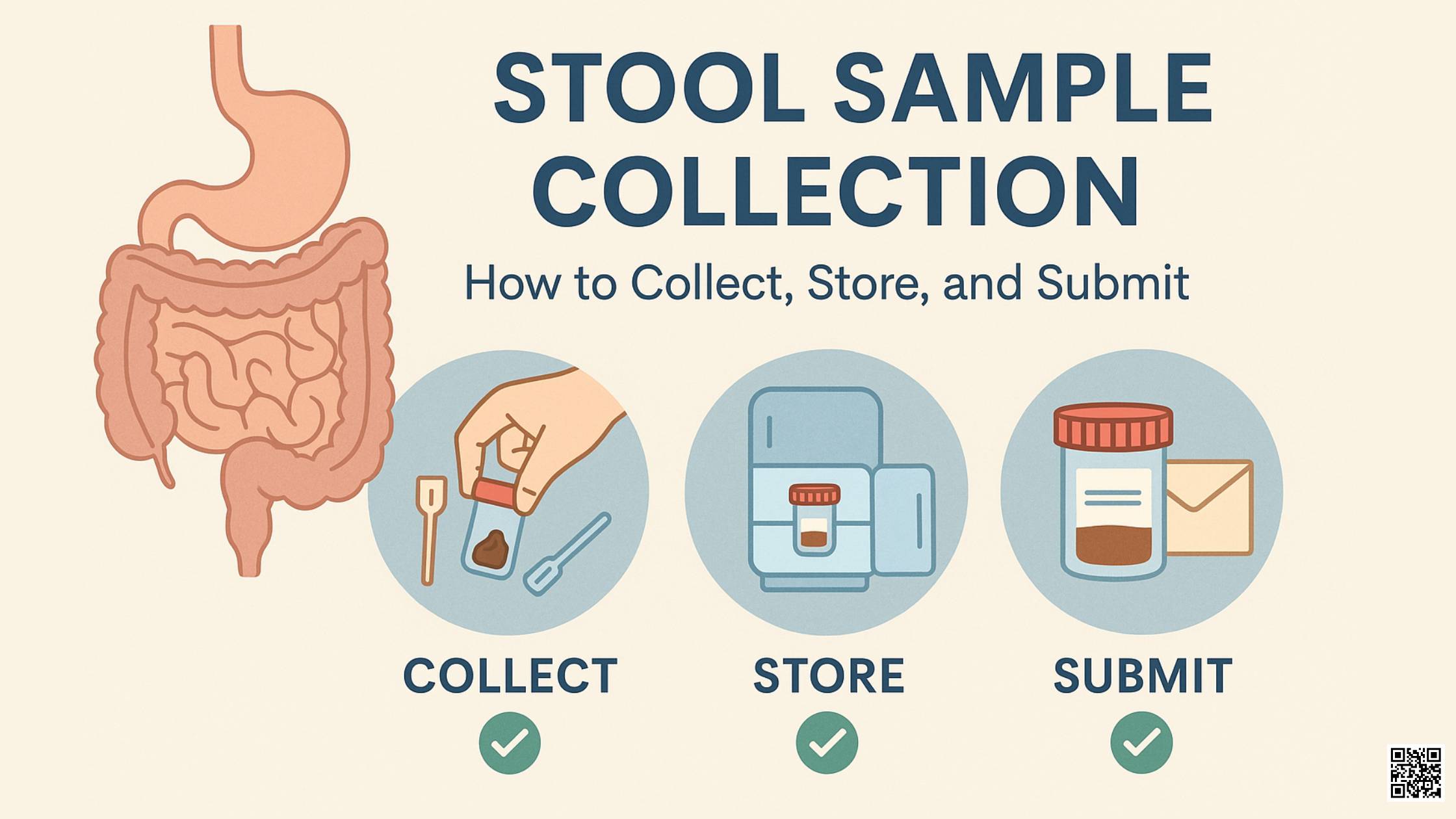 Stool Sample Collection How to Collect, Store, and Submit