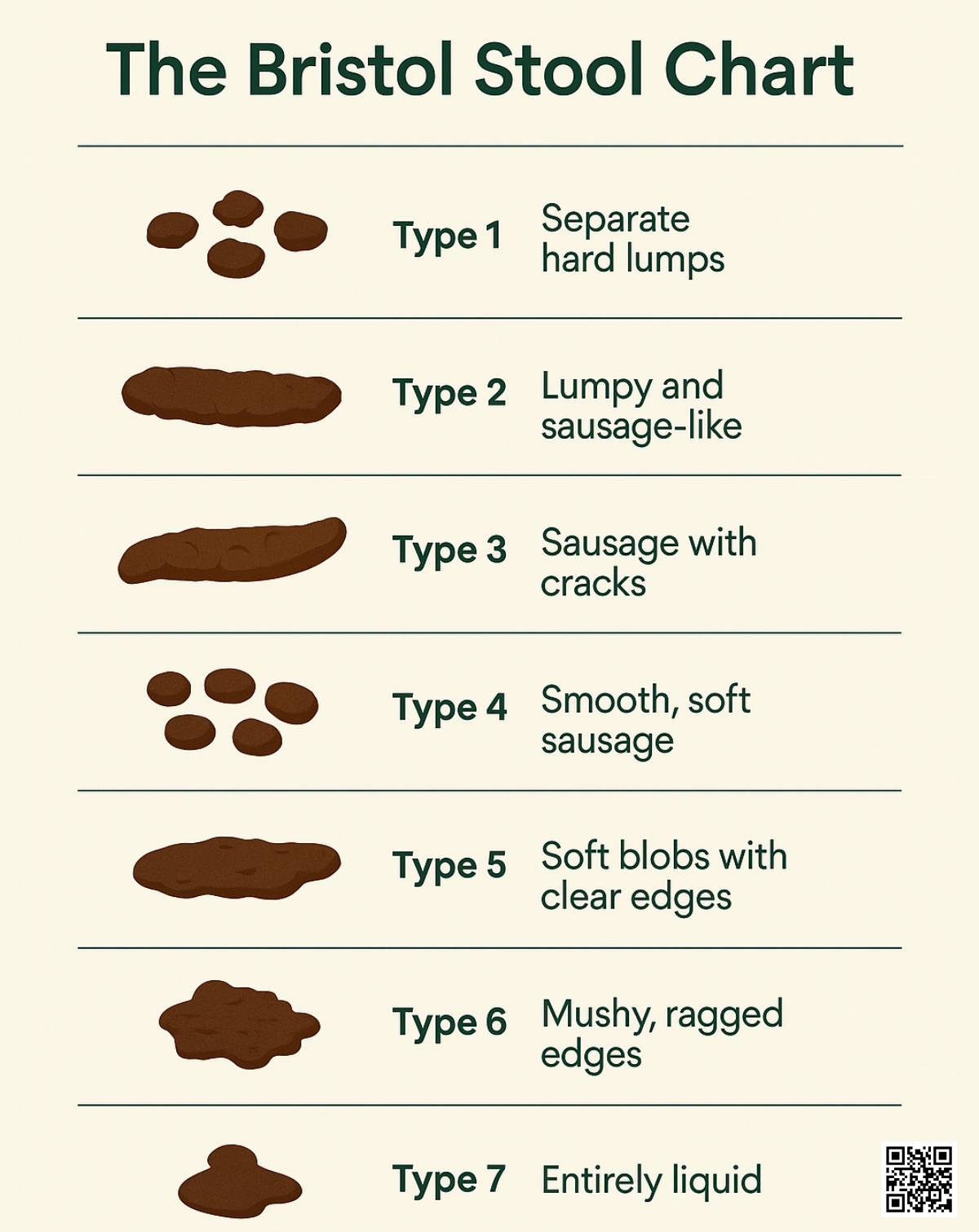 What Is the Bristol Stool Chart (Simple Guide for Readers)