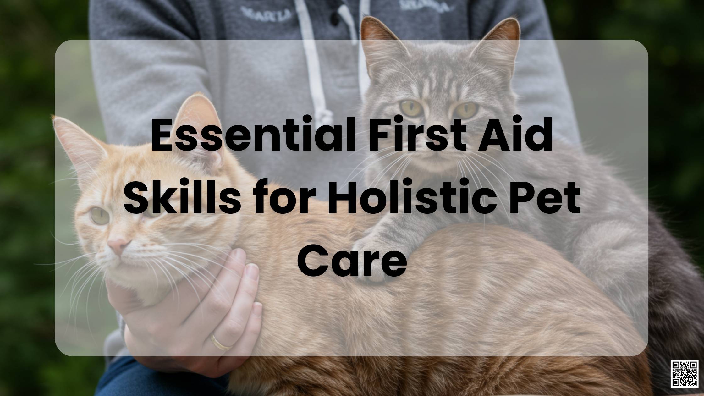 Essential First Aid Skills for Holistic Pet Care