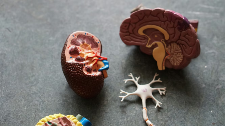 Why Chronic Kidney Disease Often Goes Undiagnosed Until Advanced Stages