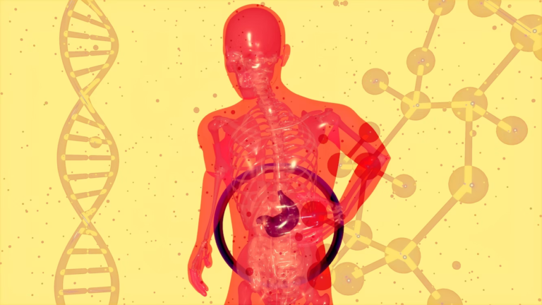 Metabolic Wellness: Small Choices That Support Long-Term Health